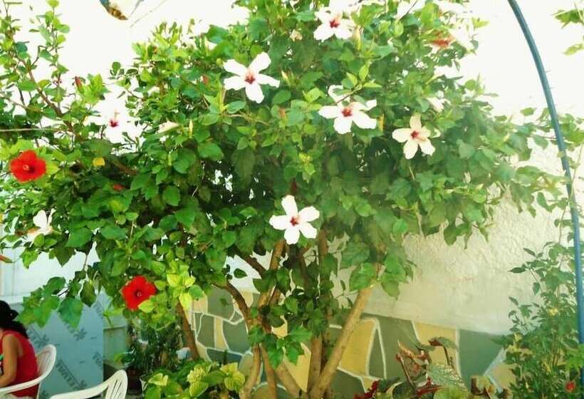 בית מלון כפרי Apollonia Apartments