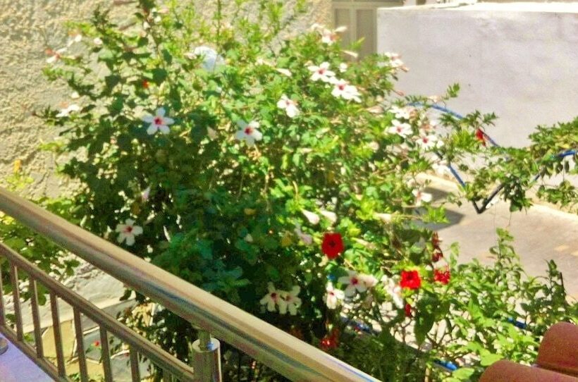 בית מלון כפרי Apollonia Apartments