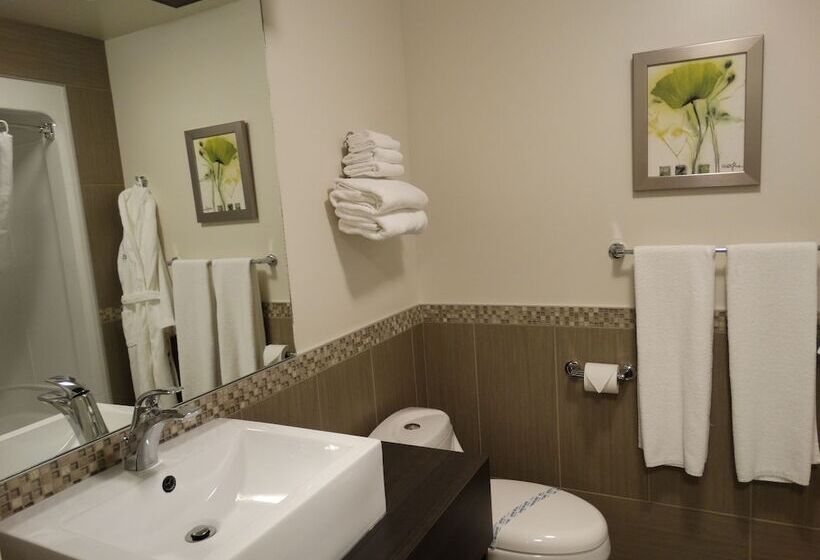 فندق Auberge L'ambassadeur