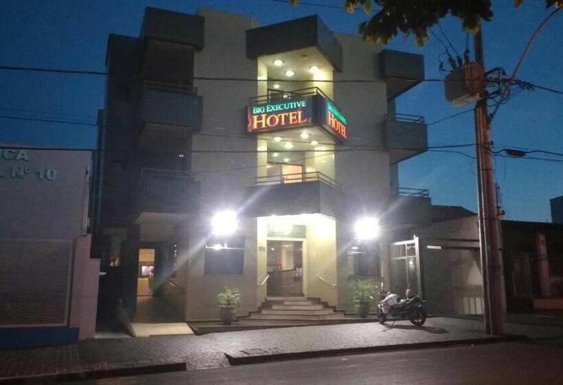 호텔 Big Executive