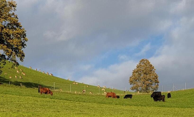 فندق & Bildungszentrum Matt