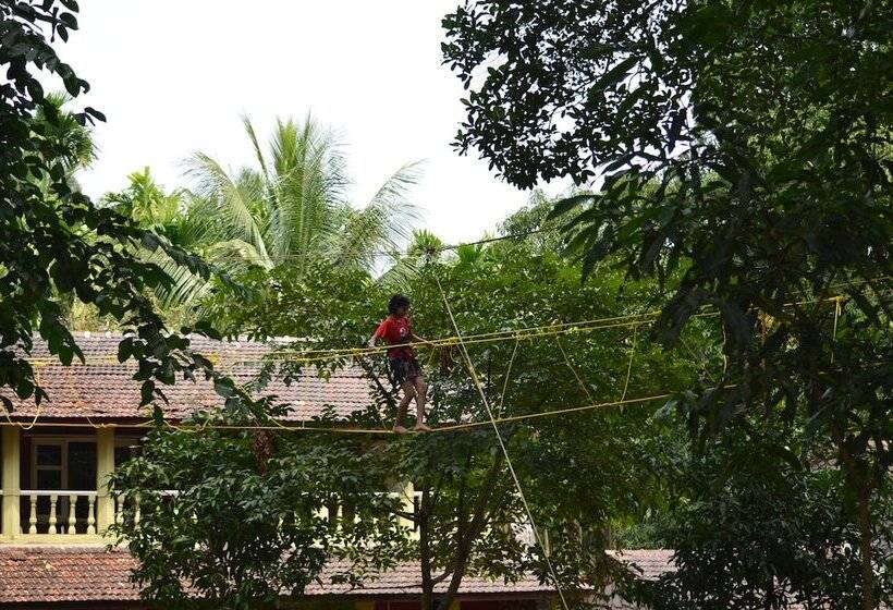 בית מלון כפרי Bison River Resort