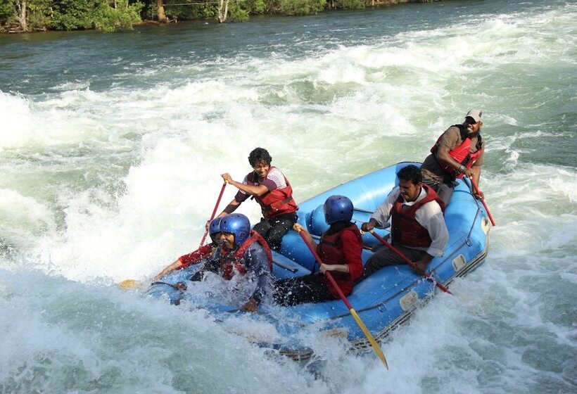 בית מלון כפרי Bison River Resort