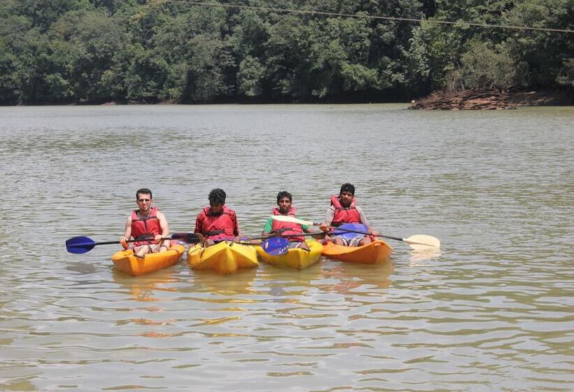 בית מלון כפרי Bison River Resort