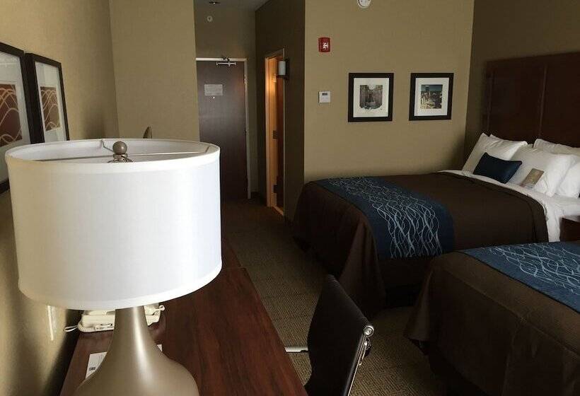 فندق Comfort Inn & Suites Lynchburg Airport   University Area