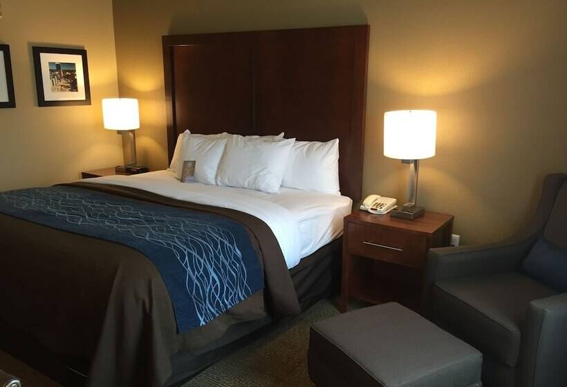 فندق Comfort Inn & Suites Lynchburg Airport   University Area