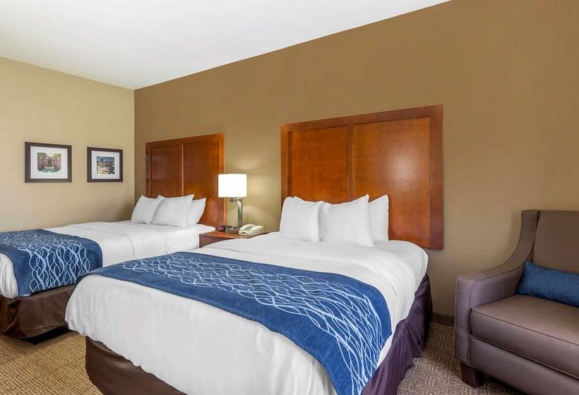 فندق Comfort Inn & Suites Lynchburg Airport   University Area