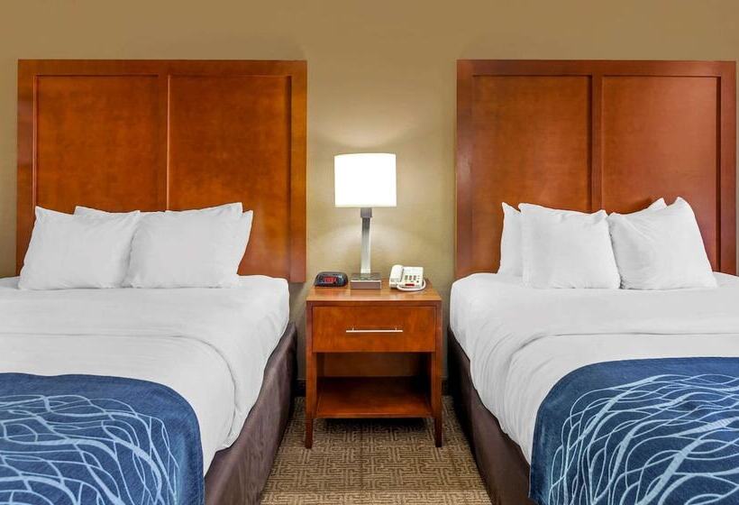 فندق Comfort Inn & Suites Lynchburg Airport   University Area