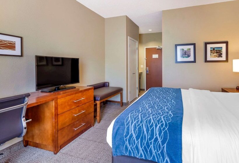 فندق Comfort Inn & Suites Lynchburg Airport   University Area