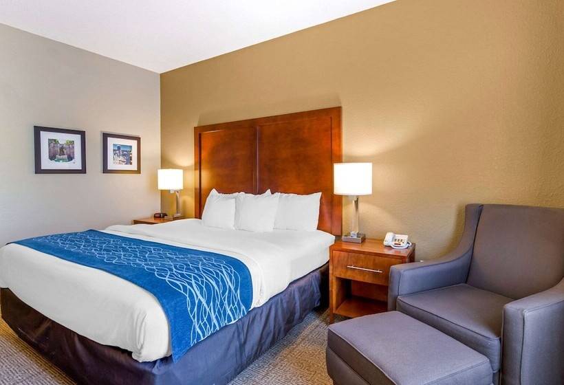 فندق Comfort Inn & Suites Lynchburg Airport   University Area