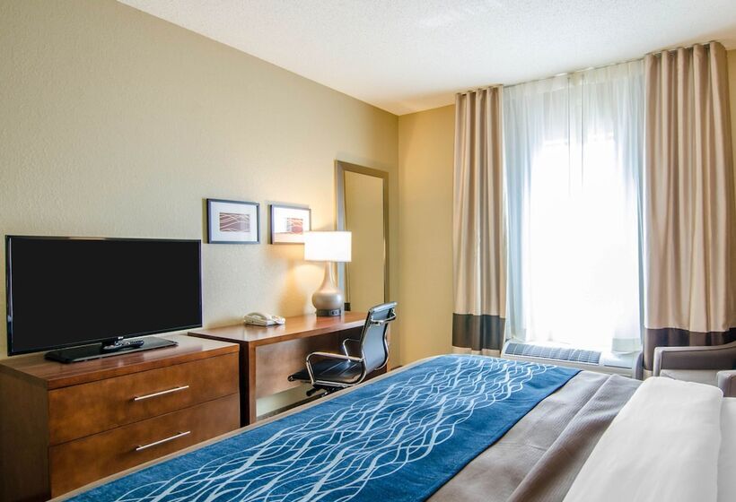 فندق Comfort Inn & Suites Lynchburg Airport   University Area