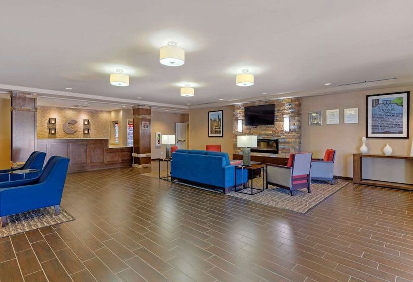 فندق Comfort Inn & Suites Lynchburg Airport   University Area