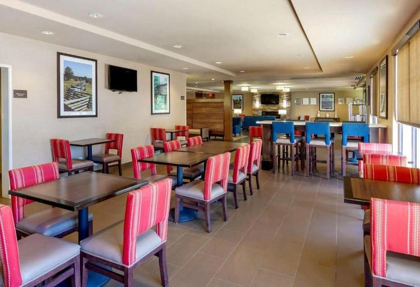 فندق Comfort Inn & Suites Lynchburg Airport   University Area