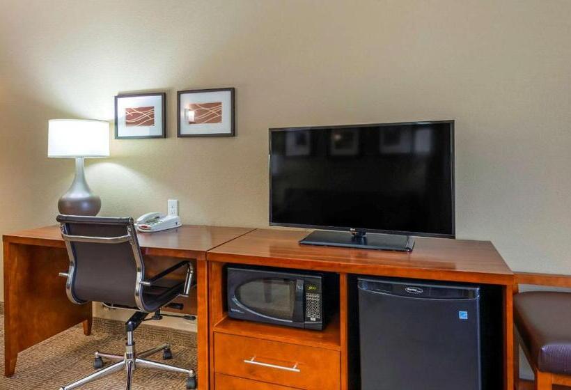 فندق Comfort Inn & Suites Lynchburg Airport   University Area