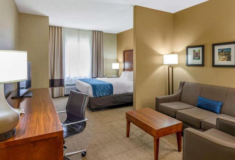 فندق Comfort Inn & Suites Lynchburg Airport   University Area
