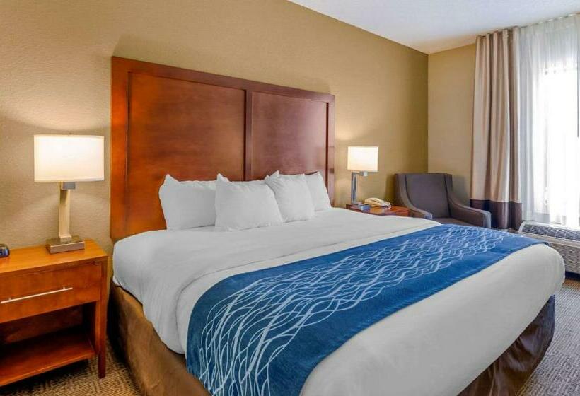 فندق Comfort Inn & Suites Lynchburg Airport   University Area