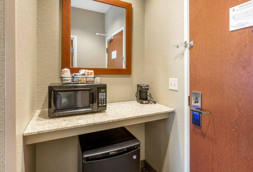 فندق Comfort Inn & Suites Lynchburg Airport   University Area