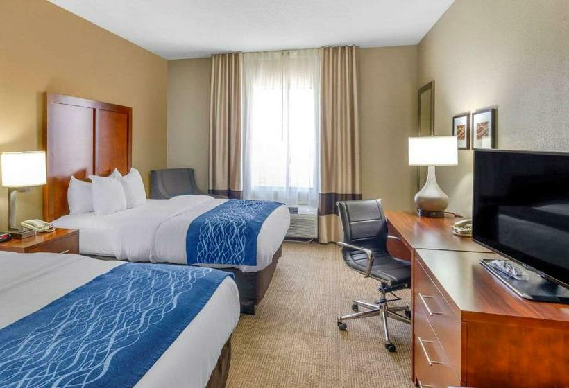 فندق Comfort Inn & Suites Lynchburg Airport   University Area
