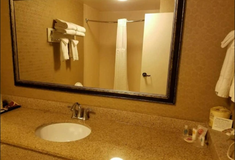 هتل Comfort Inn Warner Robins   Robins Air Force Base Area