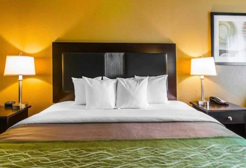 호텔 Comfort Inn Warner Robins Robins Air Force Base Area