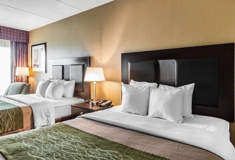 هتل Comfort Inn Warner Robins   Robins Air Force Base Area