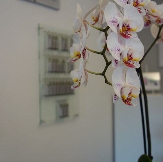 酒店 Contact Hôtel Le Saint Rémy   Chalon Sud