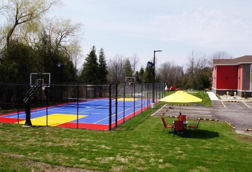 Szálloda Dreamz Inn