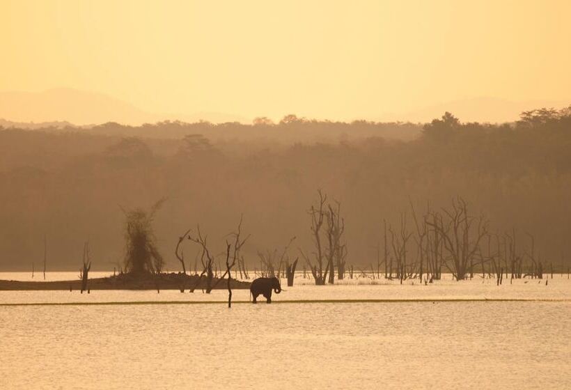 فندق Evolve Back  Kabini