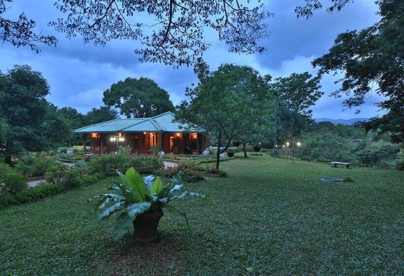 Отель Grand & Gangula