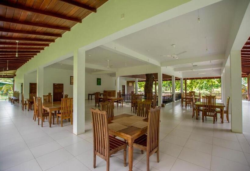 Отель Grand & Gangula