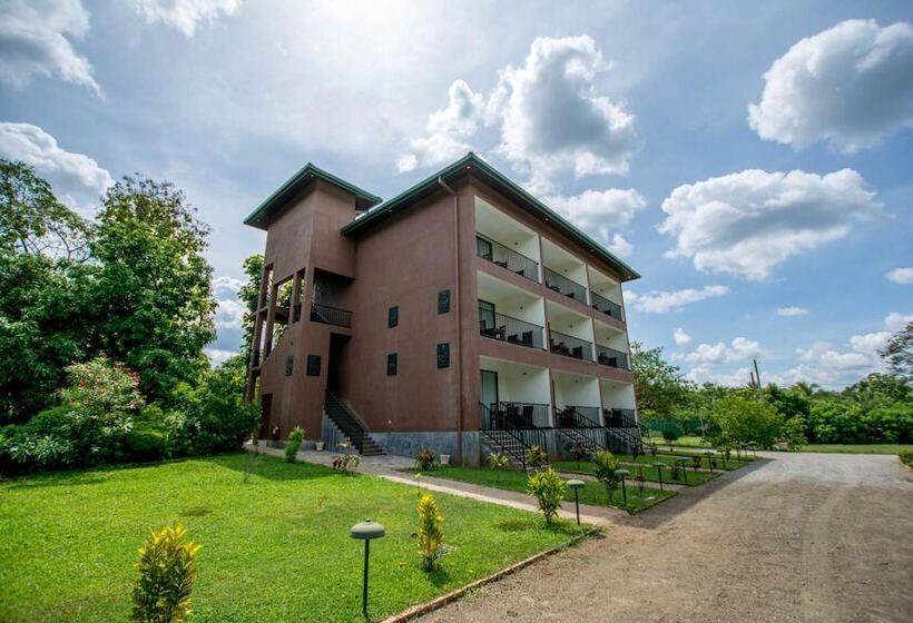 Отель Grand & Gangula