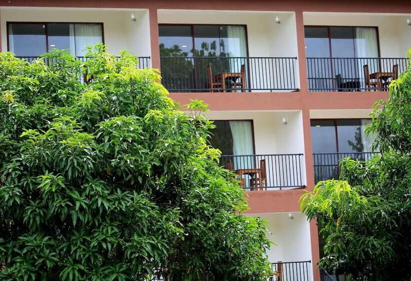 Отель Grand & Gangula