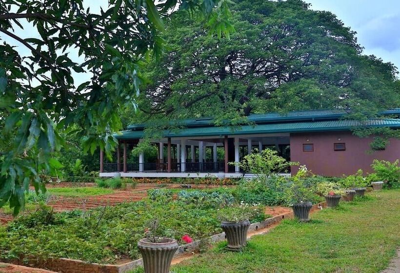 Отель Grand & Gangula