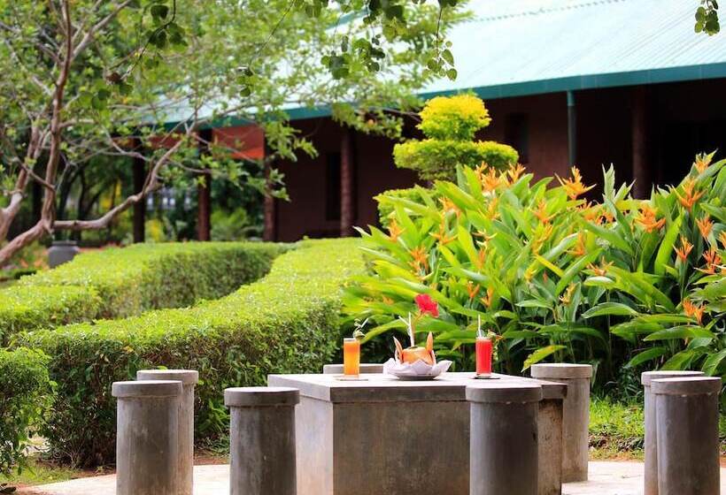 Отель Grand & Gangula