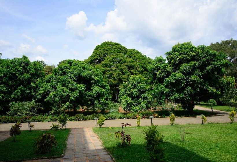 Отель Grand & Gangula