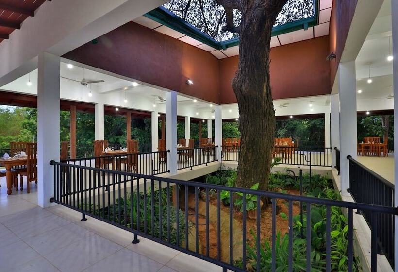 Отель Grand & Gangula