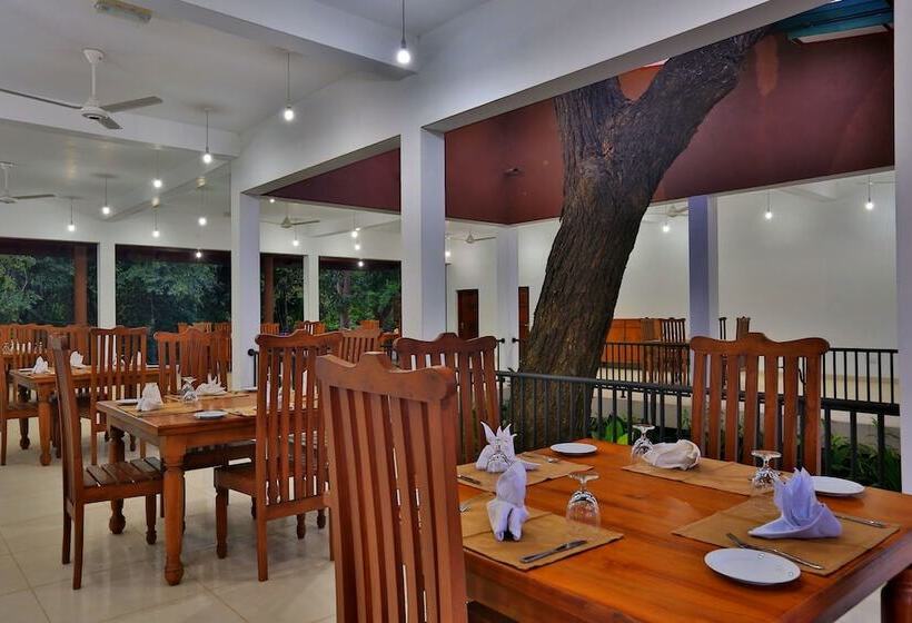 Отель Grand & Gangula