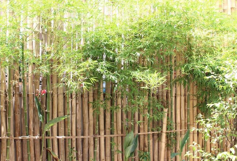 בית מלון כפרי House Boutique Eco