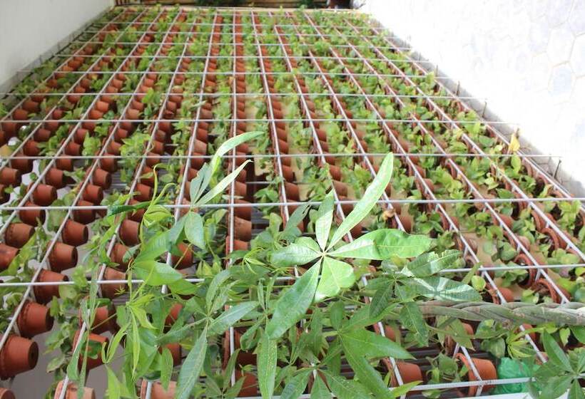 בית מלון כפרי House Boutique Eco