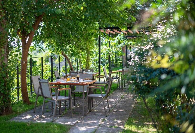 בית מלון כפרי Kleopatra Inn