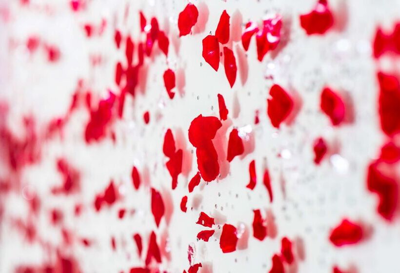 酒店 Kyriad Lyon Est Stadium Eurexpo Meyzieu