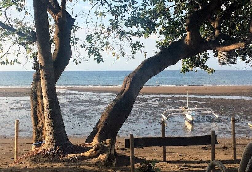 酒店 Lilin Lovina Beach