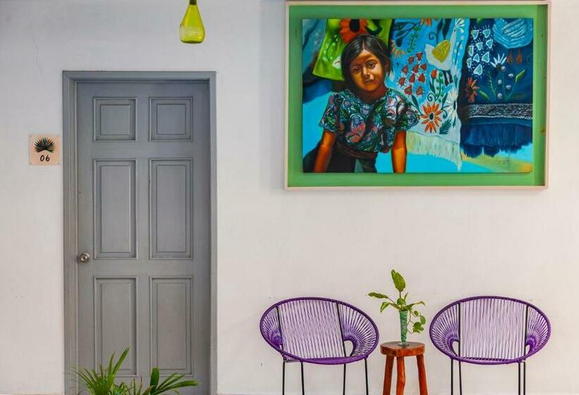 فندق Mestizo Gallery