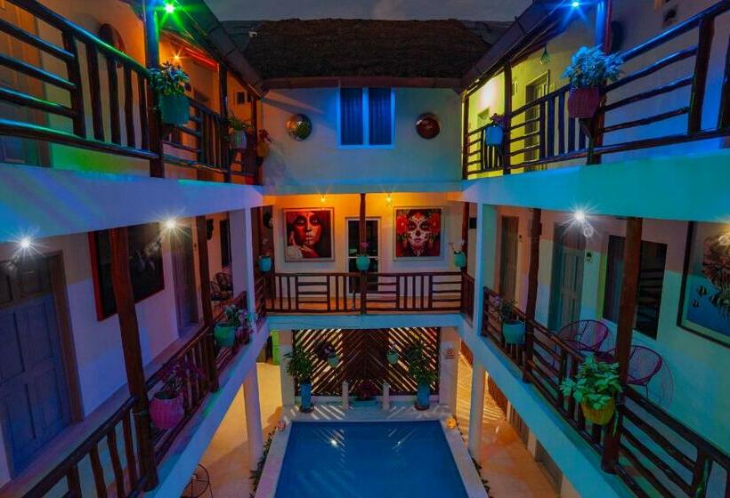 فندق Mestizo Gallery