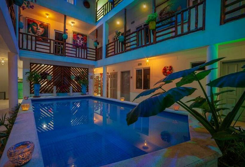 فندق Mestizo Gallery