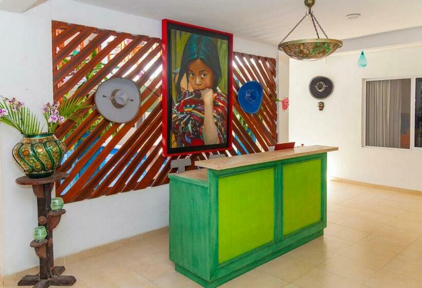 فندق Mestizo Gallery