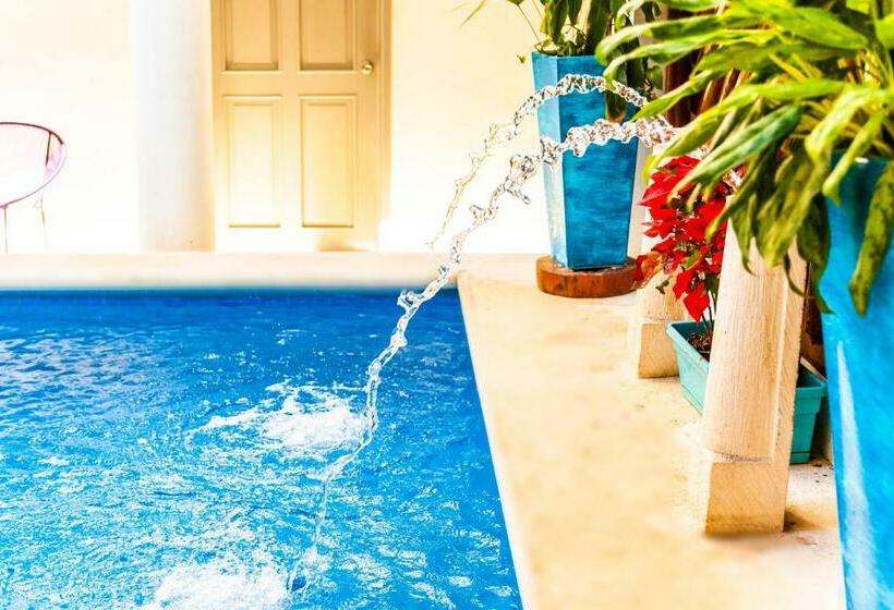 فندق Mestizo Gallery