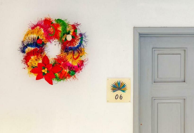 فندق Mestizo Gallery