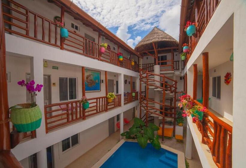 فندق Mestizo Gallery