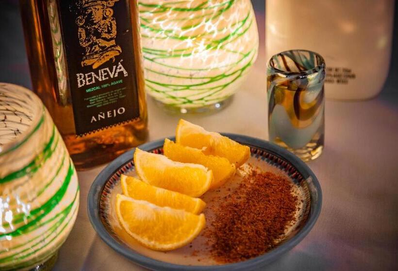 فندق Mestizo Gallery